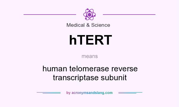 What does hTERT mean? It stands for human telomerase reverse transcriptase subunit