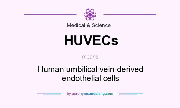 What does HUVECs mean? It stands for Human umbilical vein-derived endothelial cells