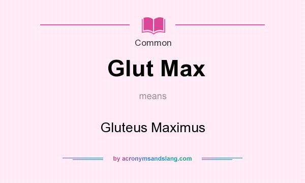 What does Glut Max mean? It stands for Gluteus Maximus