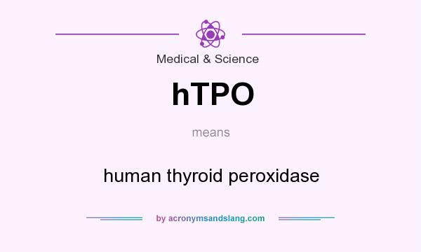 What does hTPO mean? It stands for human thyroid peroxidase