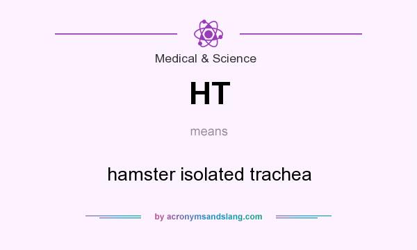 What does HT mean? It stands for hamster isolated trachea