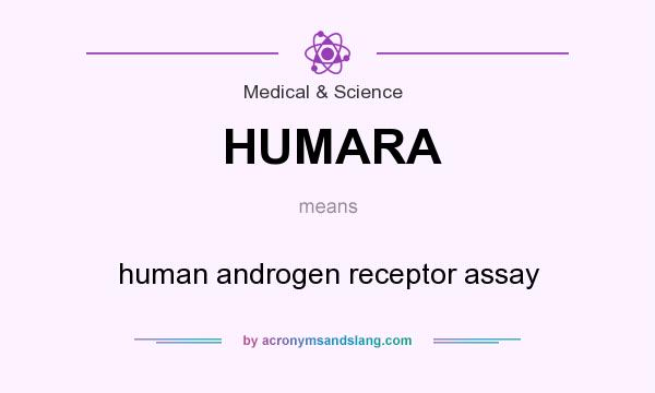 What does HUMARA mean? It stands for human androgen receptor assay
