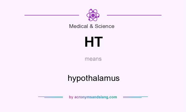 What does HT mean? It stands for hypothalamus