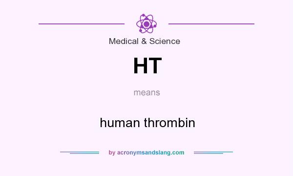 What does HT mean? It stands for human thrombin