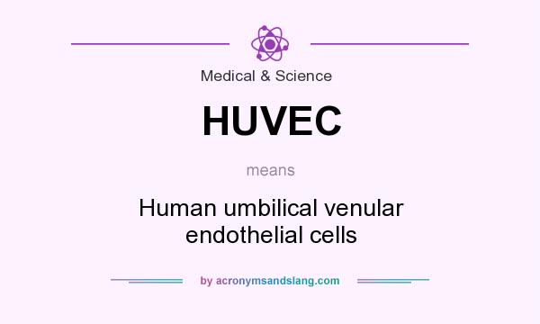 What does HUVEC mean? It stands for Human umbilical venular endothelial cells