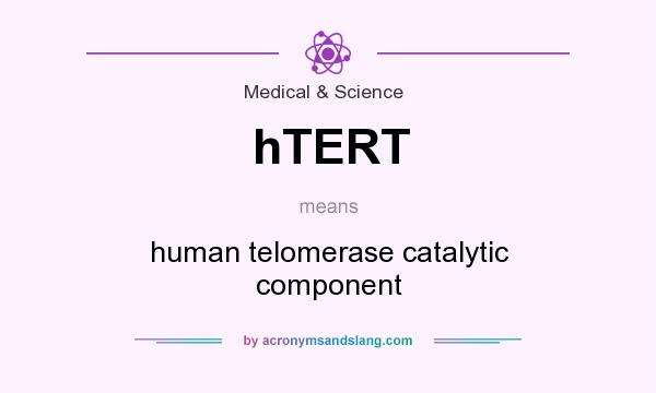 What does hTERT mean? It stands for human telomerase catalytic component