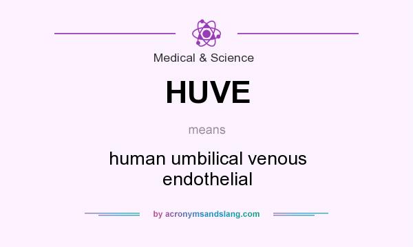 What does HUVE mean? It stands for human umbilical venous endothelial
