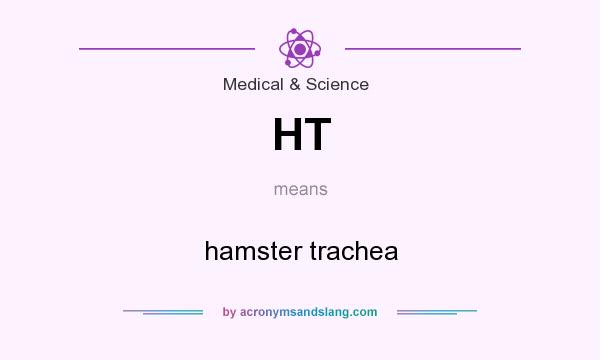 What does HT mean? It stands for hamster trachea