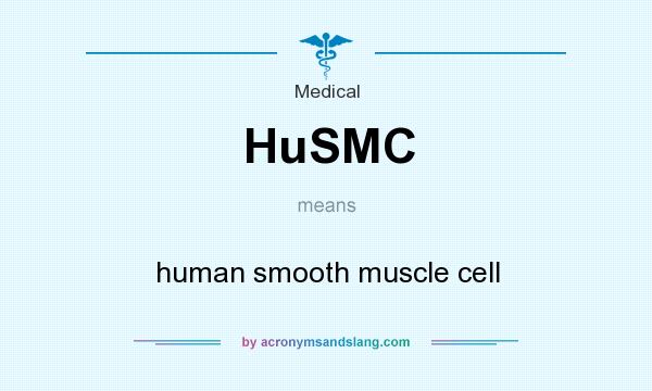 What does HuSMC mean? It stands for human smooth muscle cell
