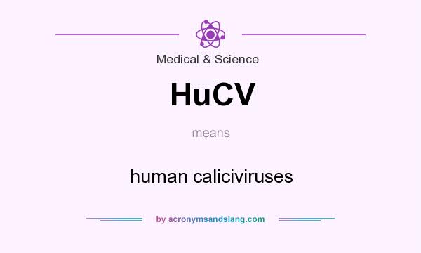 What does HuCV mean? It stands for human caliciviruses