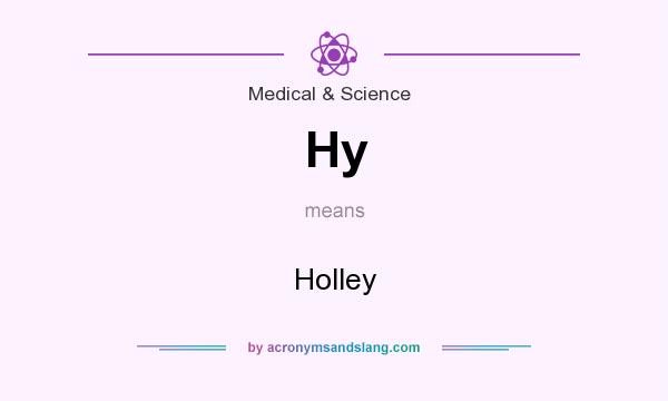What does Hy mean? It stands for Holley