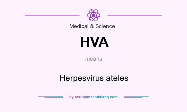 What does HVA mean? It stands for Herpesvirus ateles