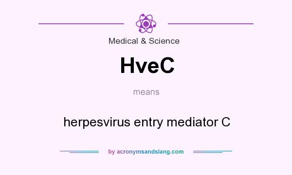 What does HveC mean? It stands for herpesvirus entry mediator C