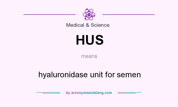 What does HUS mean? It stands for hyaluronidase unit for semen