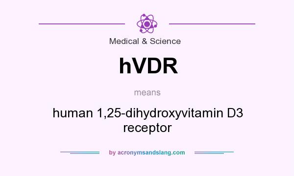 What does hVDR mean? It stands for human 1,25-dihydroxyvitamin D3 receptor