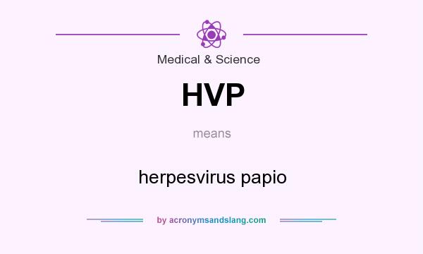 What does HVP mean? It stands for herpesvirus papio
