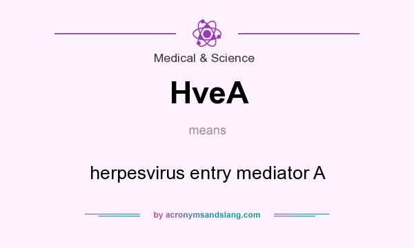 What does HveA mean? It stands for herpesvirus entry mediator A