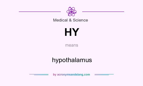 What does HY mean? It stands for hypothalamus