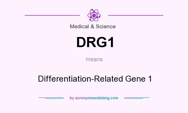What does DRG1 mean? It stands for Differentiation-Related Gene 1