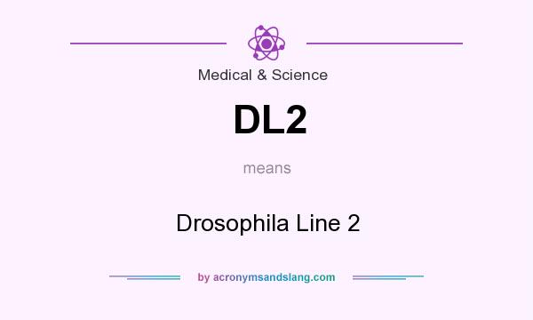 What does DL2 mean? It stands for Drosophila Line 2