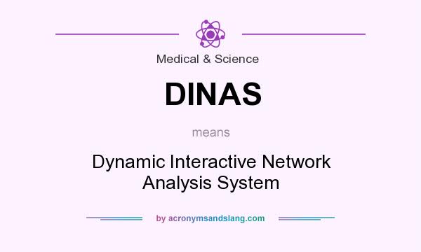 What does DINAS mean? It stands for Dynamic Interactive Network Analysis System