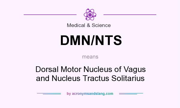 What does DMN/NTS mean? It stands for Dorsal Motor Nucleus of Vagus and Nucleus Tractus Solitarius
