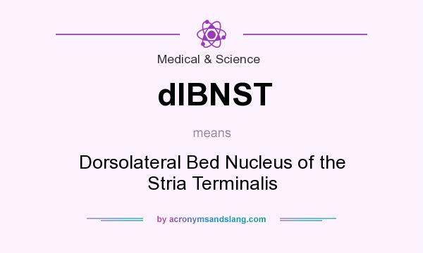 What does dlBNST mean? It stands for Dorsolateral Bed Nucleus of the Stria Terminalis
