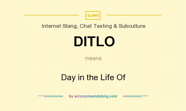 What does DITLO mean? It stands for Day in the Life Of