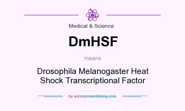 What does DmHSF mean? It stands for Drosophila Melanogaster Heat Shock Transcriptional Factor