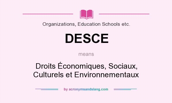 What does DESCE mean? It stands for Droits Économiques, Sociaux, Culturels et Environnementaux