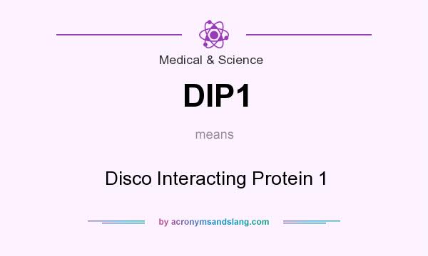 What does DIP1 mean? It stands for Disco Interacting Protein 1