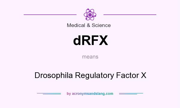 What does dRFX mean? It stands for Drosophila Regulatory Factor X