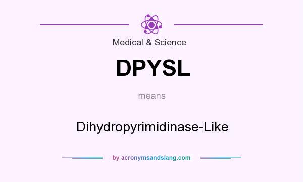 What does DPYSL mean? It stands for Dihydropyrimidinase-Like