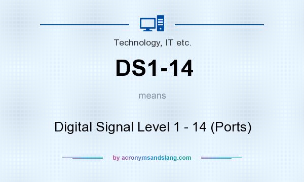 What does DS1-14 mean? It stands for Digital Signal Level 1 - 14 (Ports)