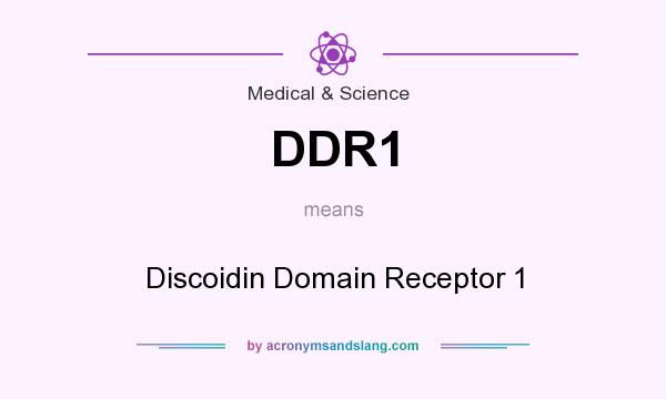 What does DDR1 mean? It stands for Discoidin Domain Receptor 1