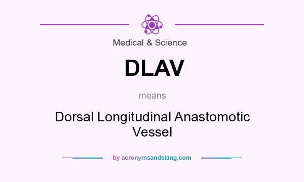 What does DLAV mean? It stands for Dorsal Longitudinal Anastomotic Vessel
