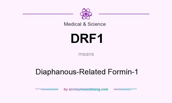 What does DRF1 mean? It stands for Diaphanous-Related Formin-1