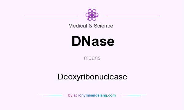 What does DNase mean? It stands for Deoxyribonuclease