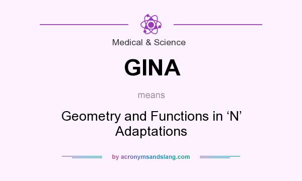 What does GINA mean? It stands for Geometry and Functions in ‘N’ Adaptations