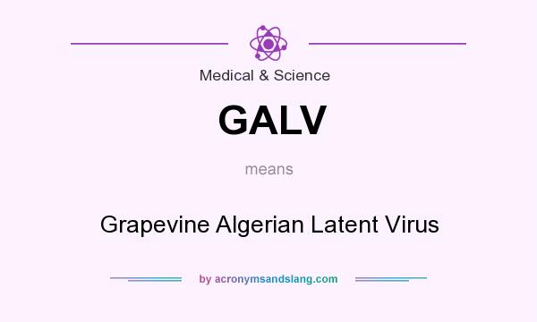 What does GALV mean? It stands for Grapevine Algerian Latent Virus