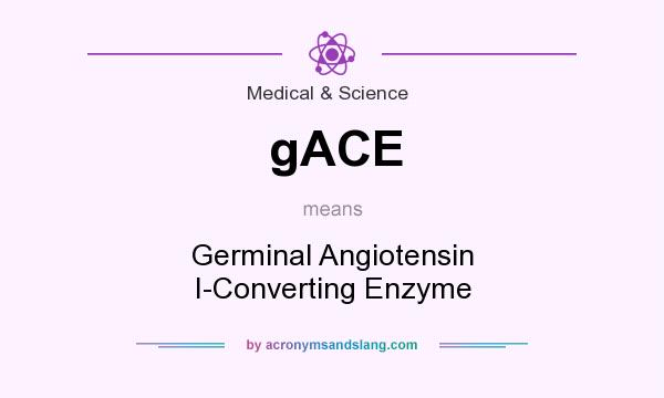 What does gACE mean? It stands for Germinal Angiotensin I-Converting Enzyme