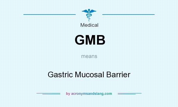 What does GMB mean? It stands for Gastric Mucosal Barrier