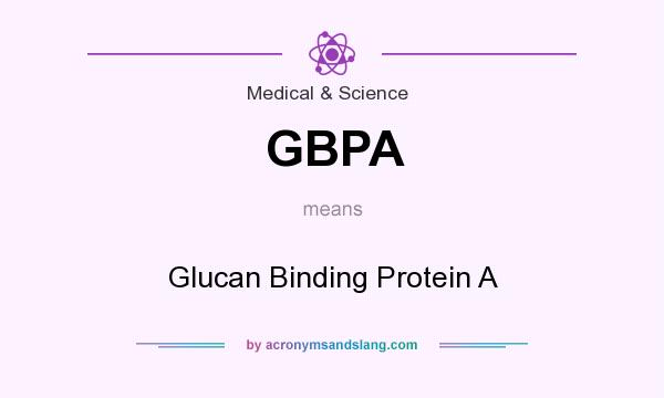 What does GBPA mean? It stands for Glucan Binding Protein A