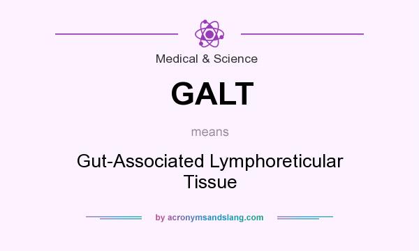 What does GALT mean? It stands for Gut-Associated Lymphoreticular Tissue