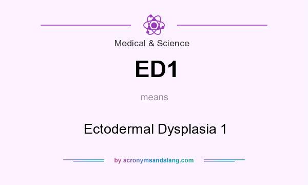 What does ED1 mean? It stands for Ectodermal Dysplasia 1