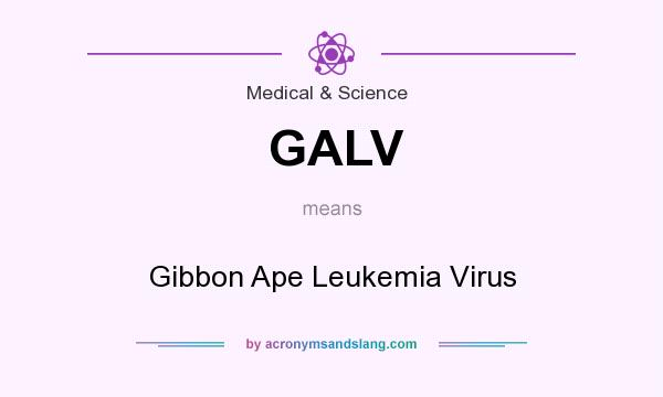 What does GALV mean? It stands for Gibbon Ape Leukemia Virus