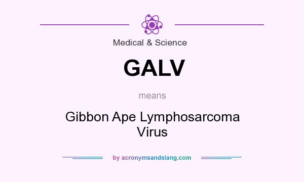 What does GALV mean? It stands for Gibbon Ape Lymphosarcoma Virus