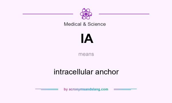 What does IA mean? It stands for intracellular anchor