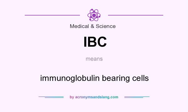 What does IBC mean? It stands for immunoglobulin bearing cells