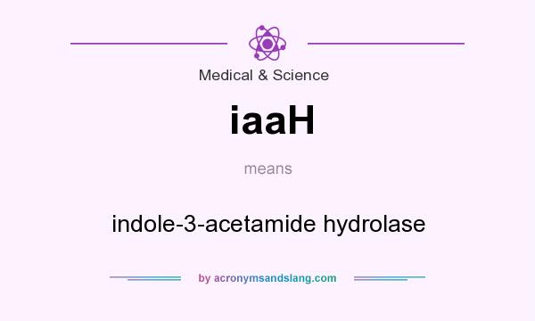 What does iaaH mean? It stands for indole-3-acetamide hydrolase